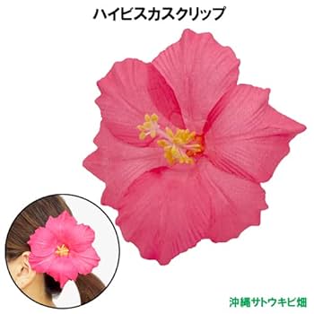 yukisan  新品 ピンクハイビスカス髪飾り 8個セット Amazon.co.jp: ハイビスカスクリップ (ピンク) : 文房具
